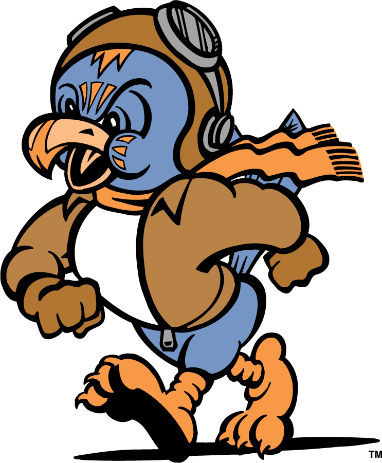 Tennessee-Martin Skyhawks 1995-2007 Mascot Logo t shirts iron on transfers